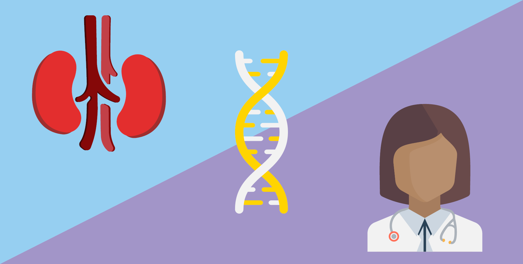 Illustration of kidneys on the left, DNA helix in the middle, and female doctor on the right.
