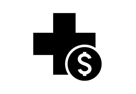 health care icon with dollar symbol