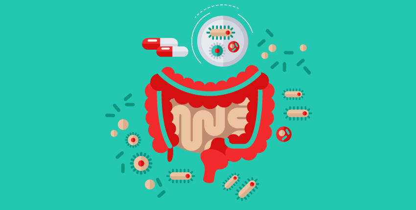 An illustration of a Gut Microbiome.