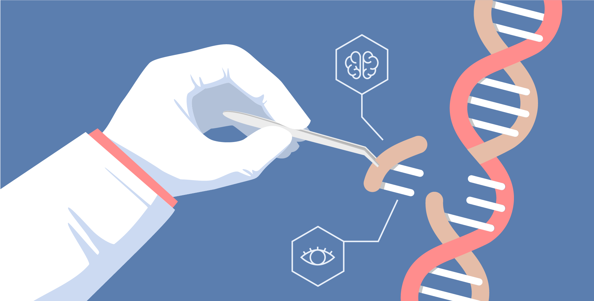 An illustration of a researcher clipping a section of a DNA helix.